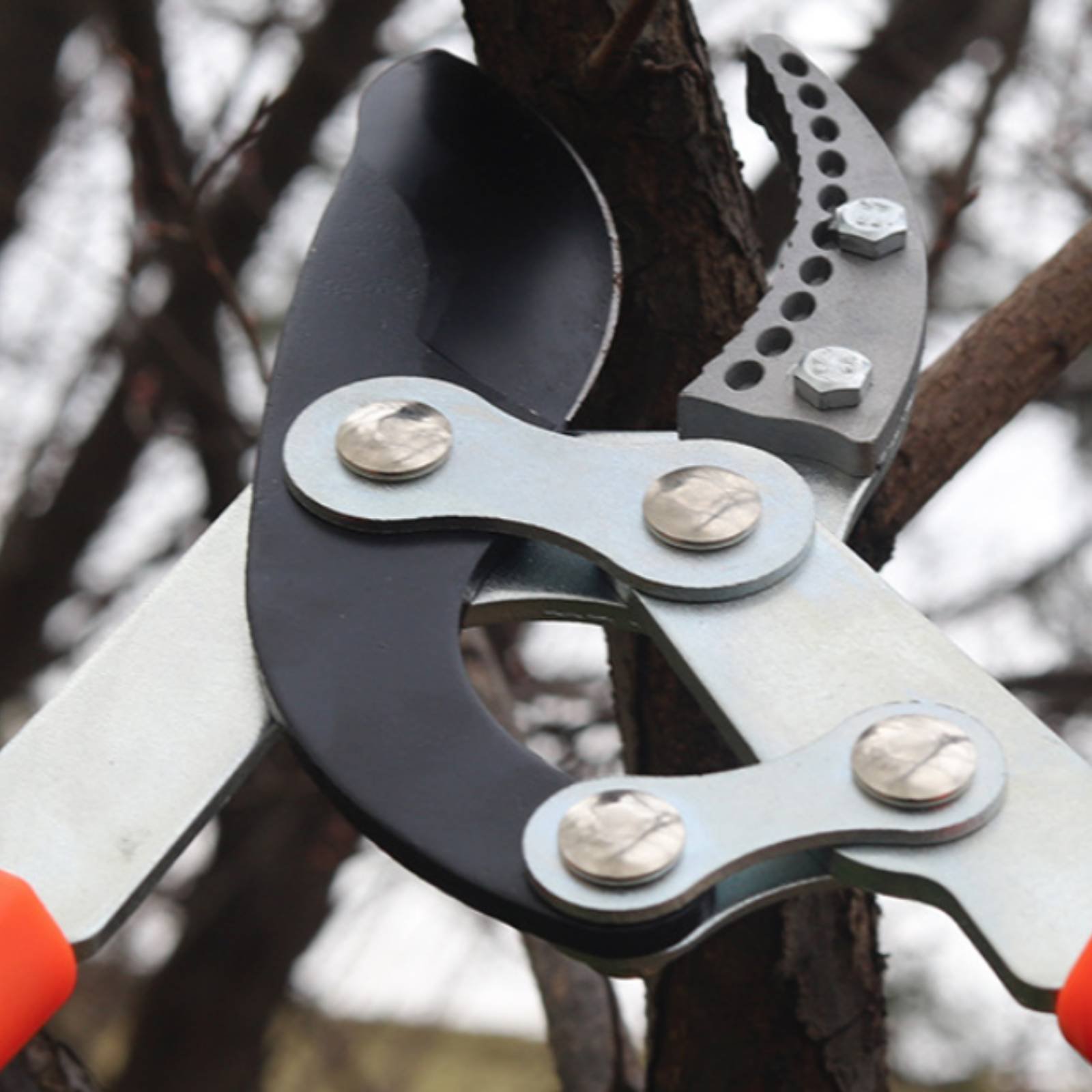 Pruning Shears - Podadores de Galhos Telescópicos com Lâmina