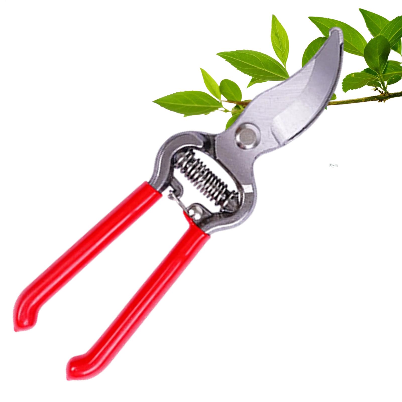 Pruning Shears - Tesoura de poda para plantas em