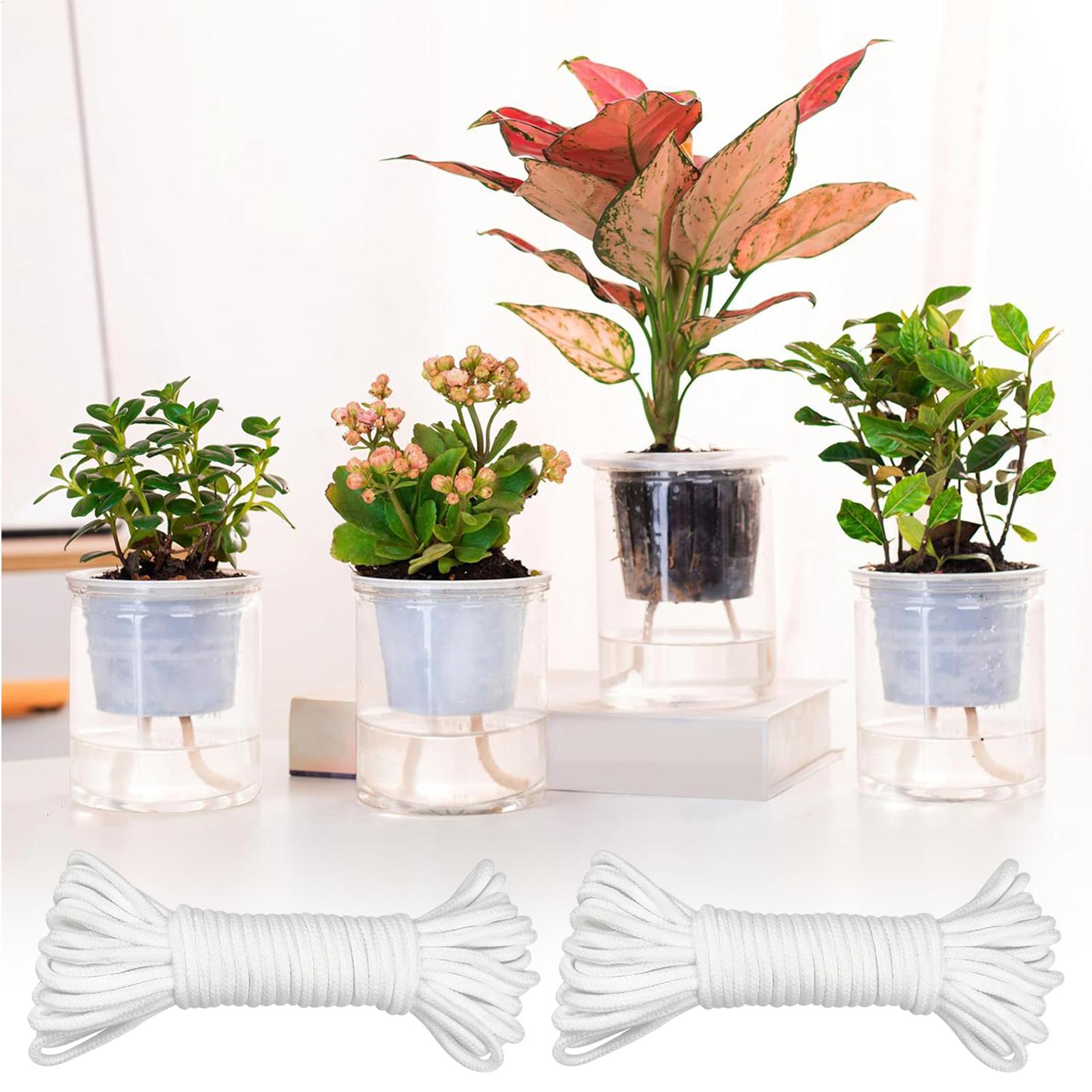 Sistema de Irrigação Automátic - Automatic Plant Waterer avaliação e preço