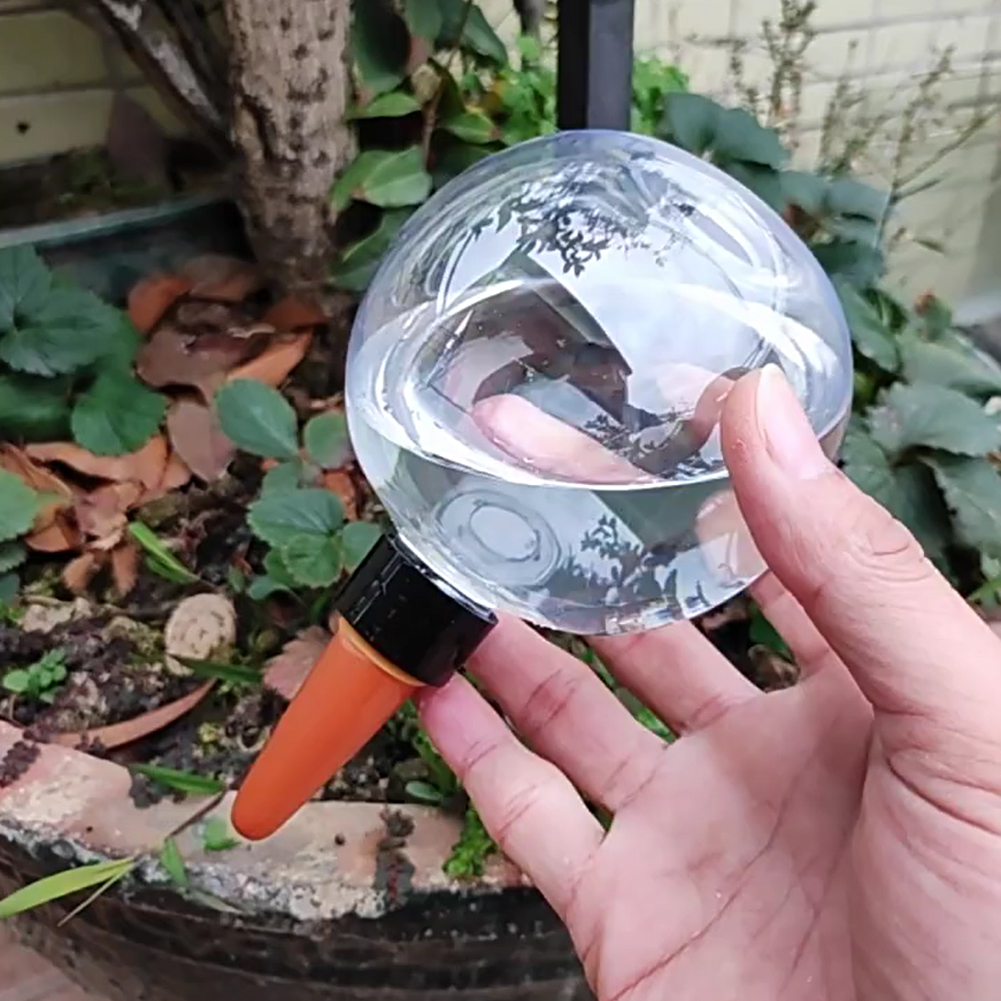 Globos de Irrigação Automática - Automatic Plant Waterer avaliação e preço