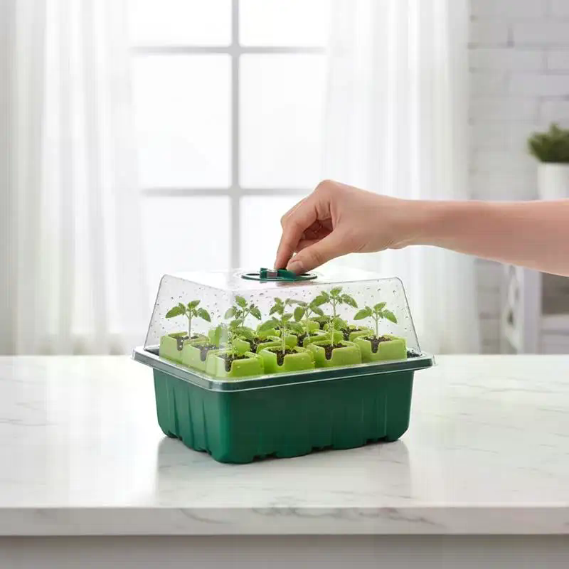 Kit de Germinação com Bandeja  - Propagation Tray Dome avaliação e preço