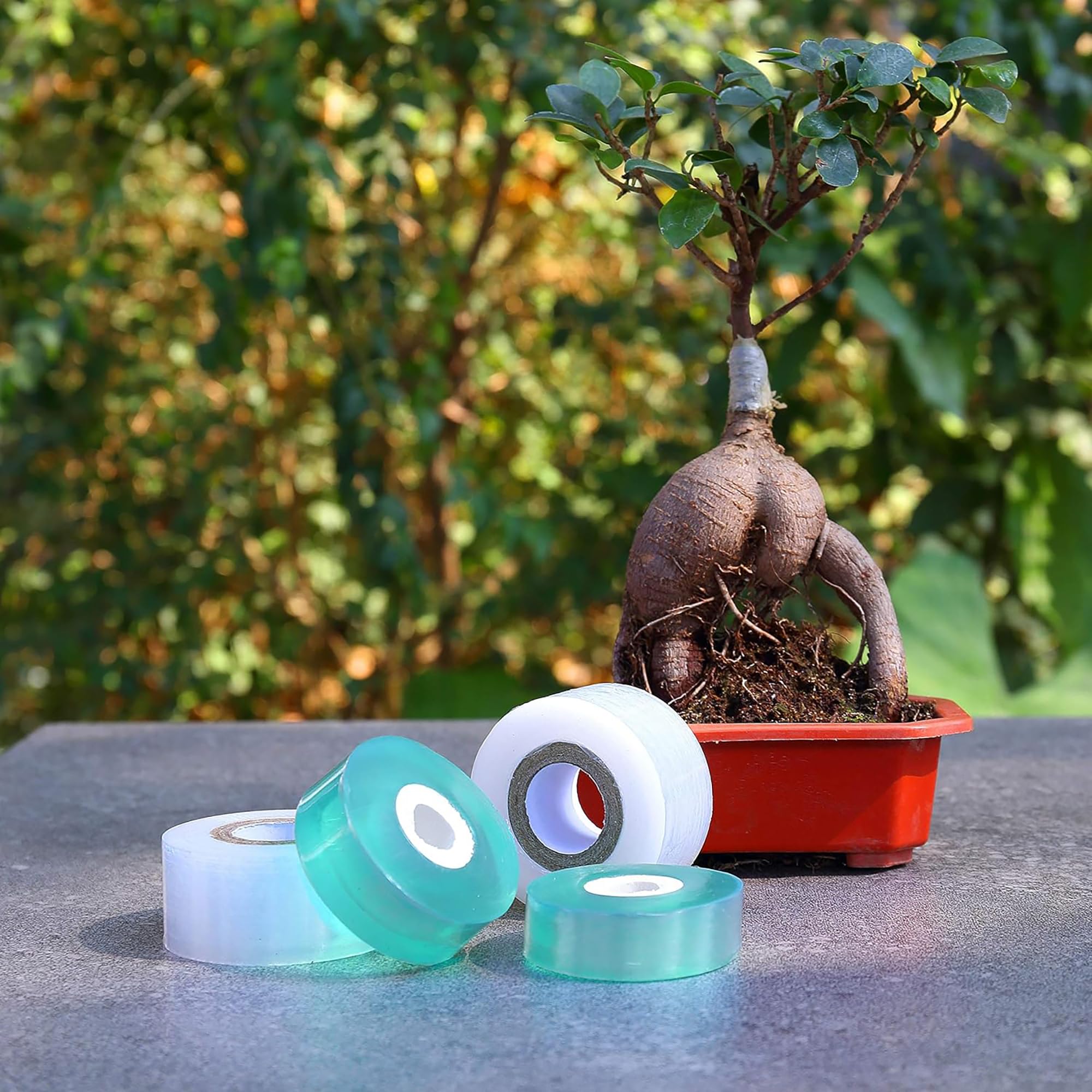 Fita de Enxertia Biodegradável - Gardening Tools Uses avaliação e preço