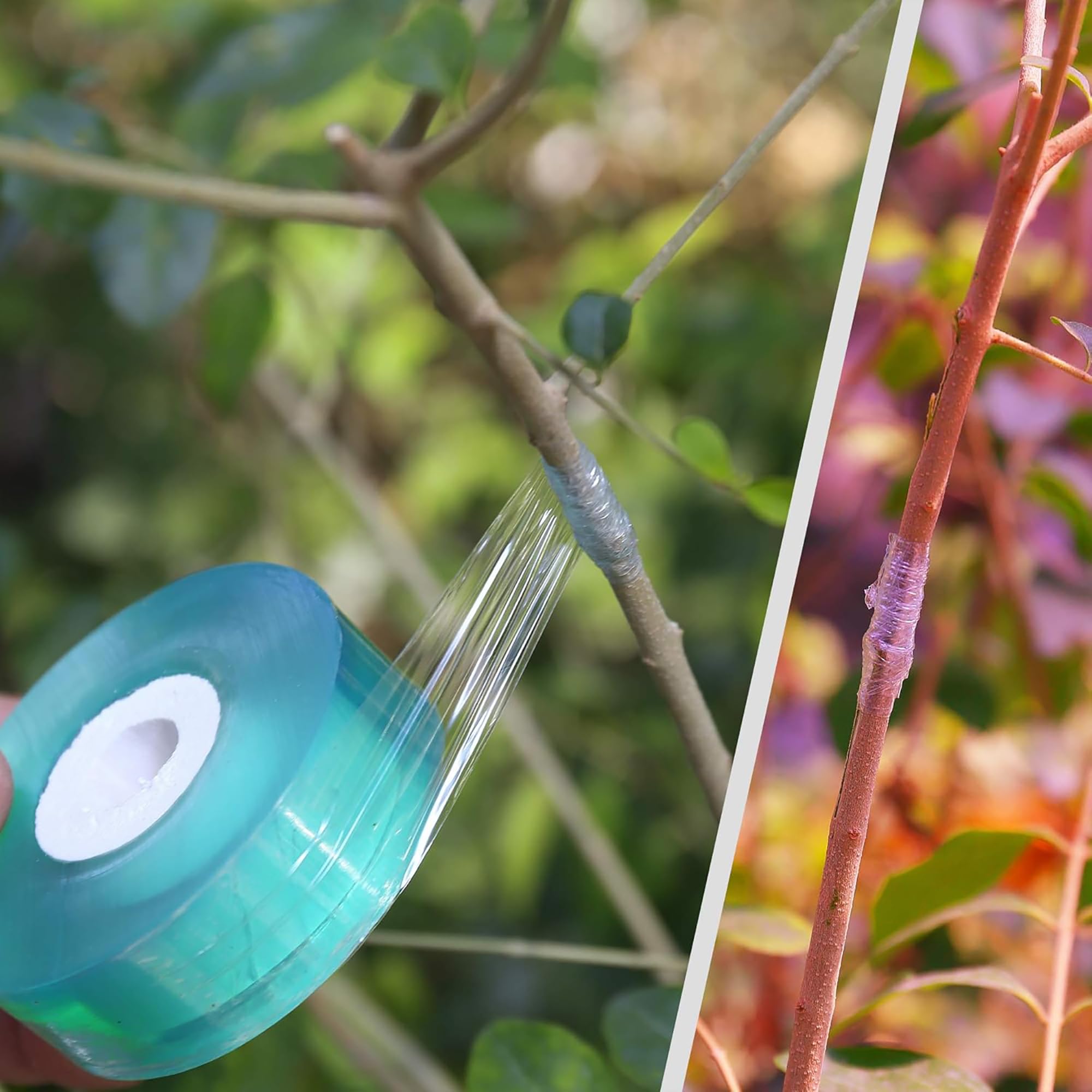 Fita de Enxertia Biodegradável - Gardening Tools Uses avaliação e preço