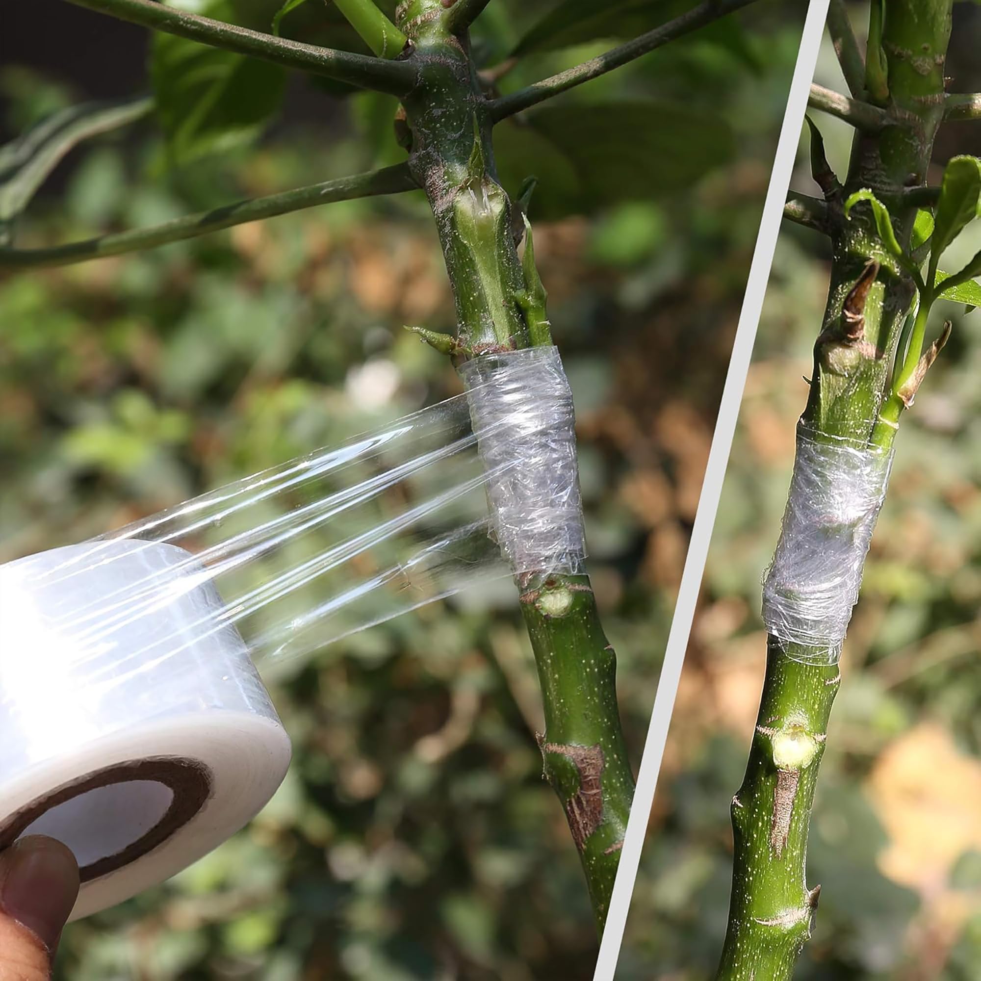Fita de Enxertia Biodegradável - Gardening Tools Uses avaliação e preço