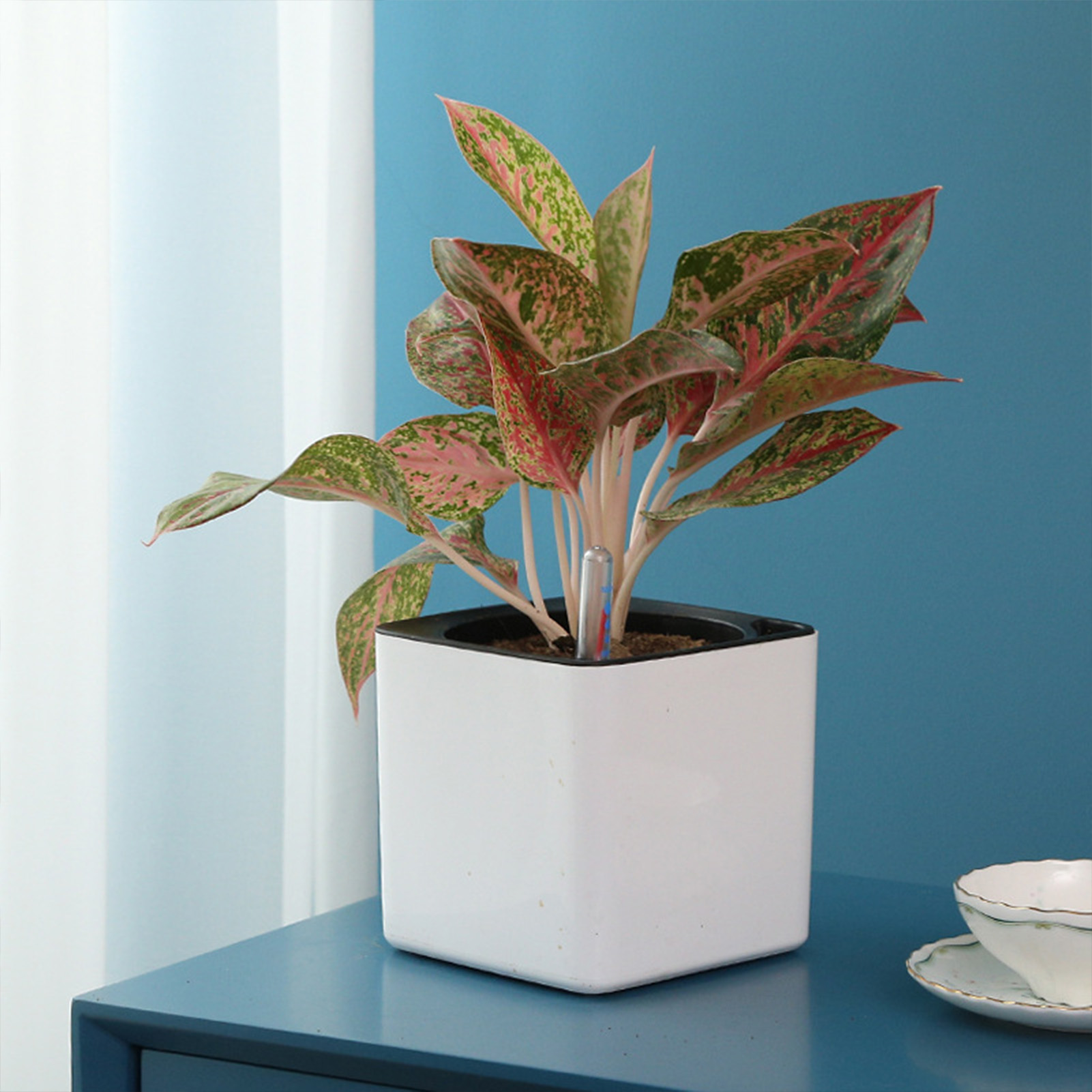 Vaso de flores preguiçoso de 3 - Automatic Plant Waterer avaliação e preço