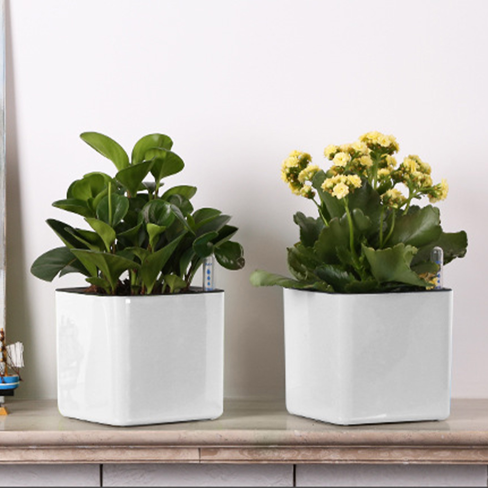 Vaso de flores preguiçoso de 3 - Automatic Plant Waterer avaliação e preço
