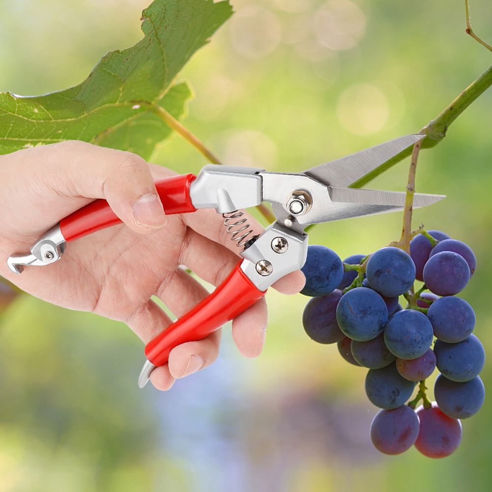 Tesoura de Poda Reta para Plan - Pruning Shears avaliação e preço
