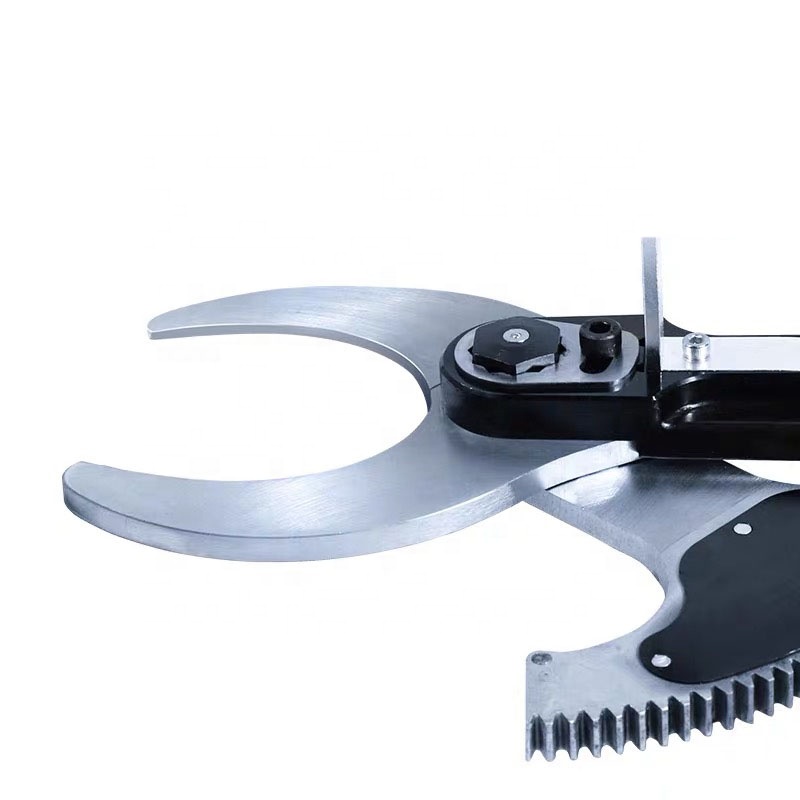 Novas Ferramentas de Bambu par - Pruning Shears avaliação e preço