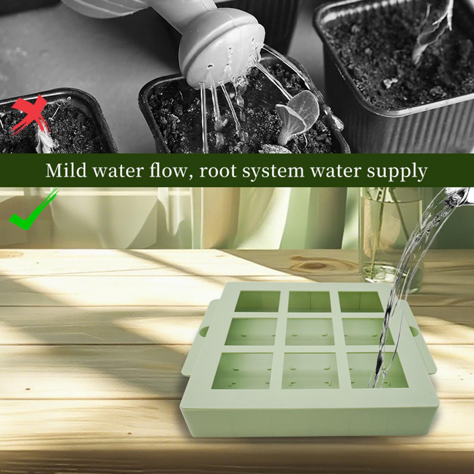 Bandeja Reutilizável para Germ - Propagation Tray Dome avaliação e preço