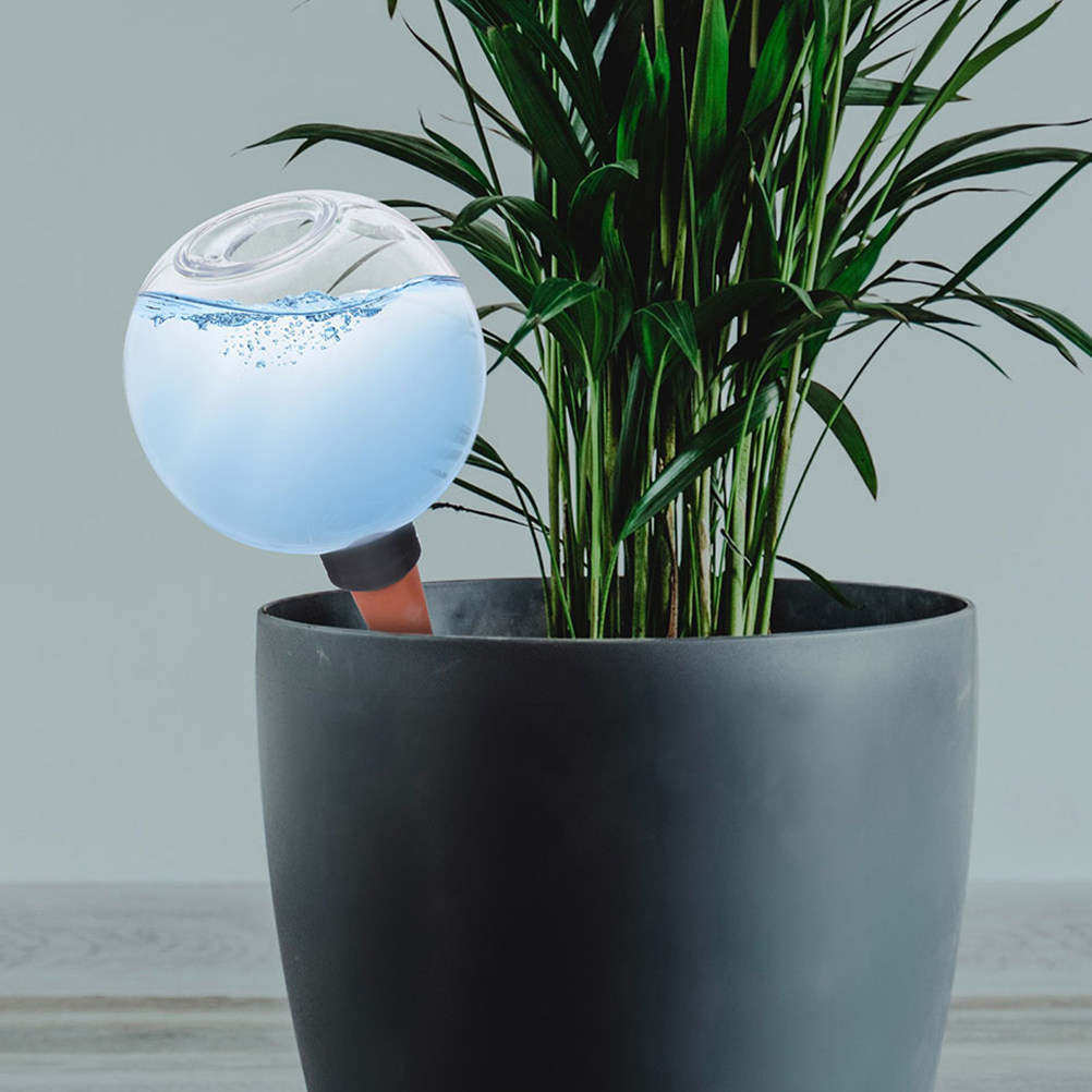 3 Peças de Globos de Irrigação - Automatic Plant Waterer avaliação e preço