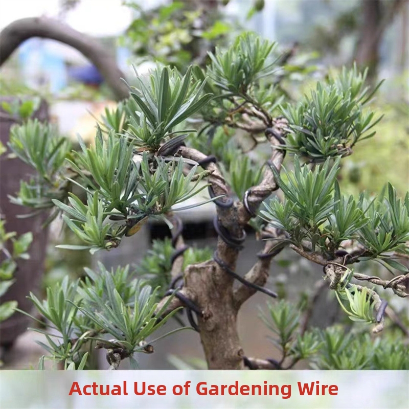 Fios de alumínio para bonsai d - Gardening Tools Uses avaliação e preço