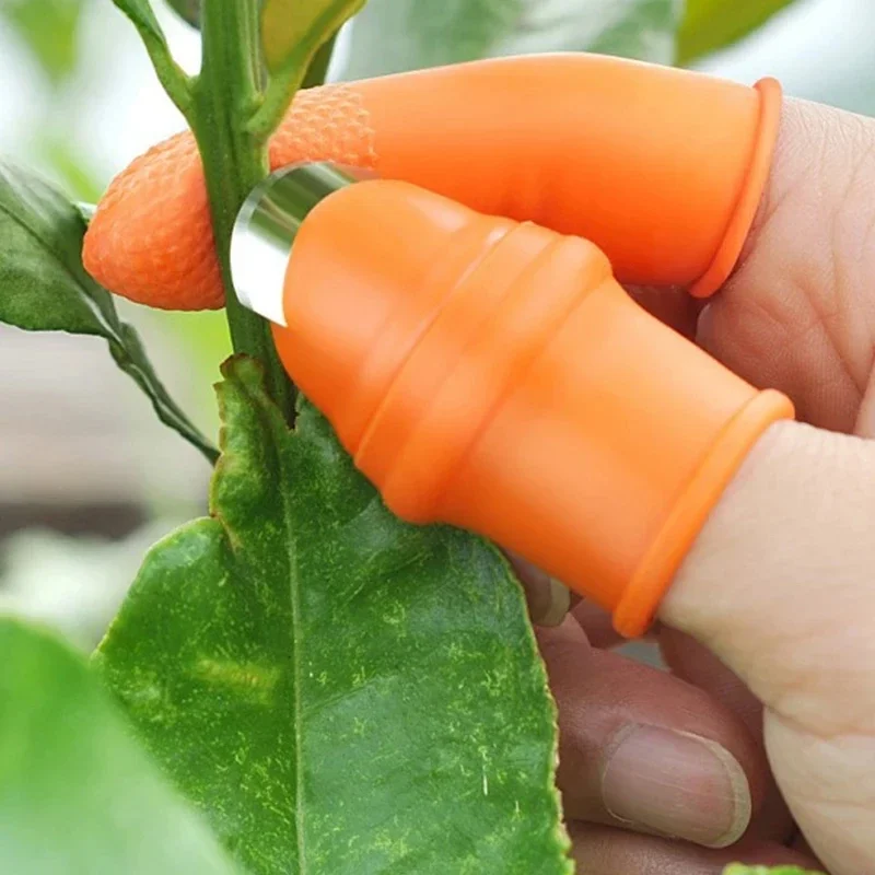 Faca de Polegar para Colheita  - Gardening Tools Knife avaliação e preço