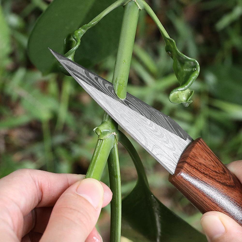 Faca de Enxertia Afiada com Ca - Gardening Tools Knife avaliação e preço