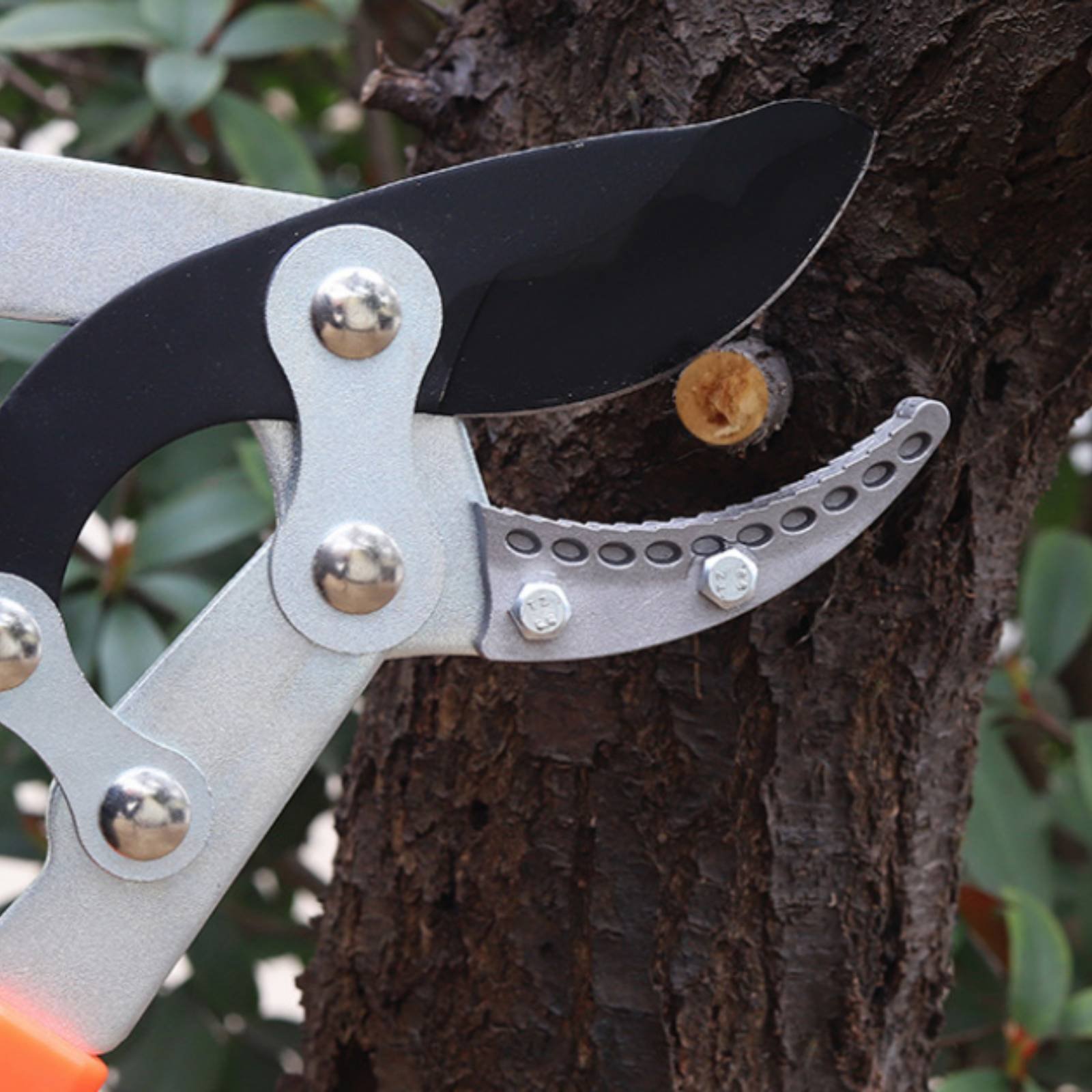 Podadores de Galhos Telescópic - Pruning Shears avaliação e preço