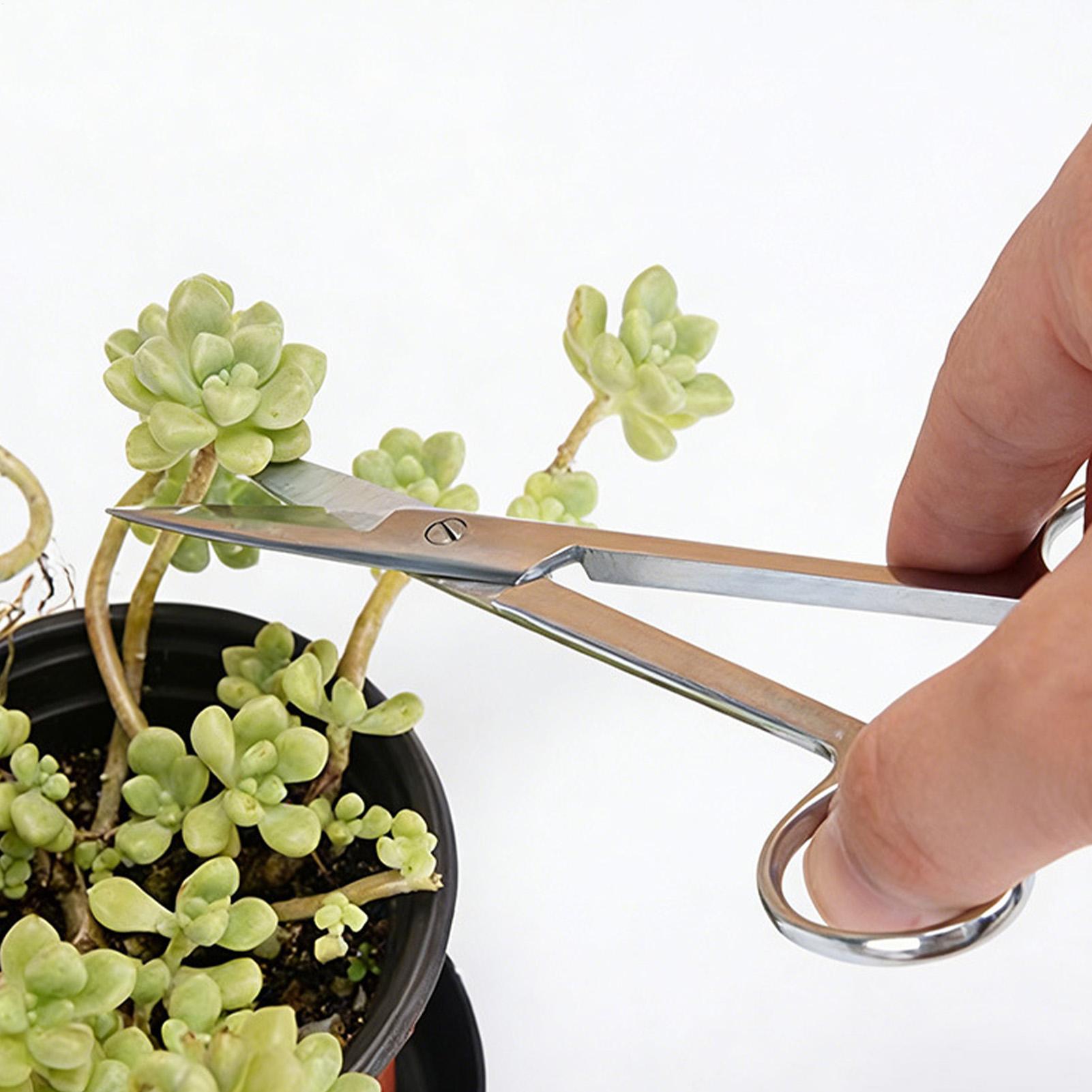 Tesoura de poda ergonômica de  - Pruning Shears avaliação e preço