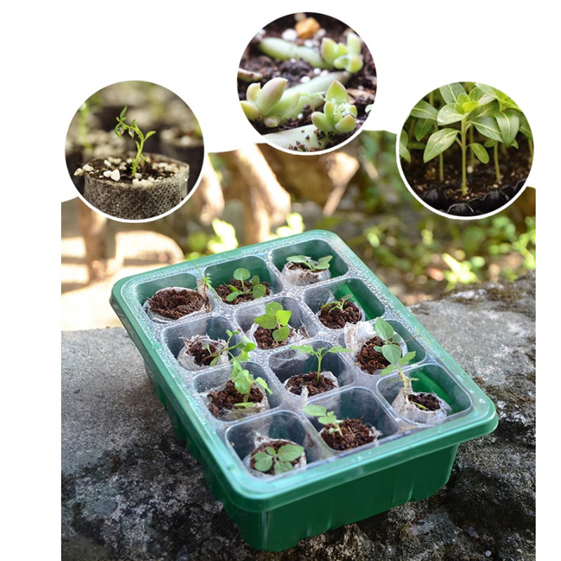 Bandeja de Germinação com 6/12 - Propagation Tray Dome avaliação e preço
