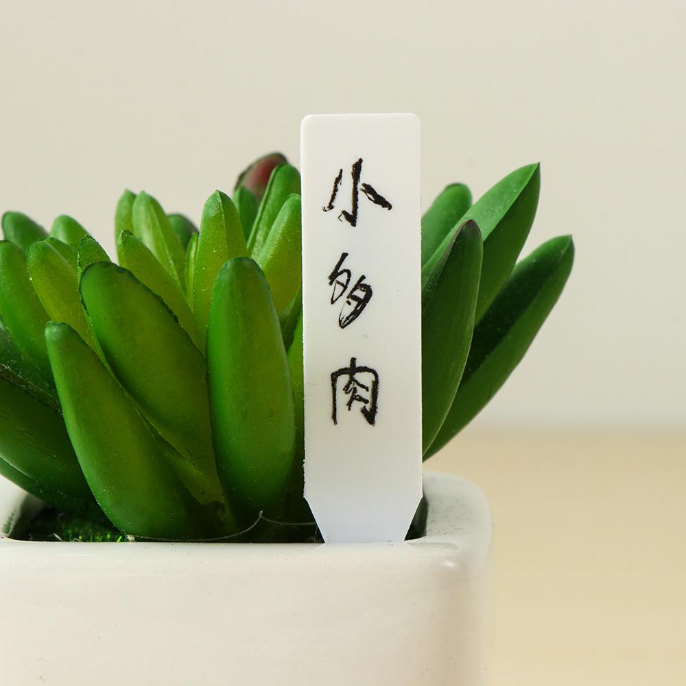 100 Etiquetas Reutilizáveis Im - Gardening Tools Labeled avaliação e preço
