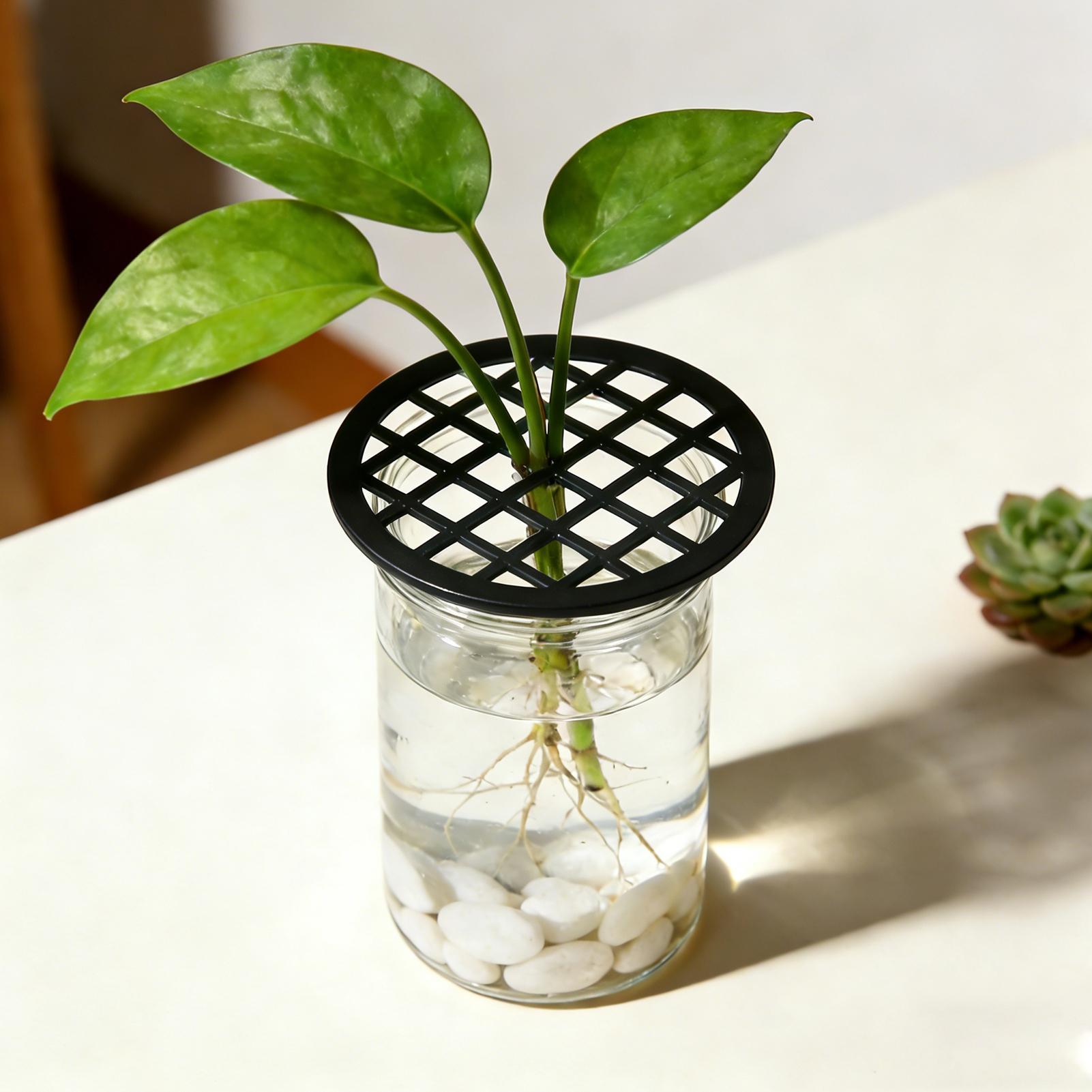 Suporte para galhos de plantas - Propagation Tray Dome avaliação e preço