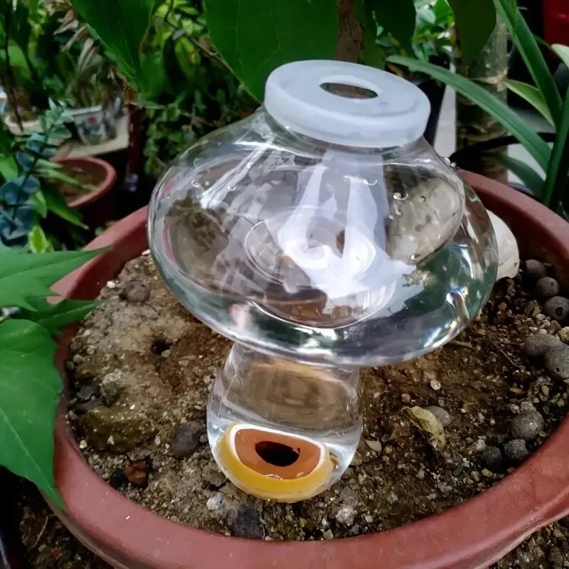 Regador Automático de Plantas, - Automatic Plant Waterer avaliação e preço