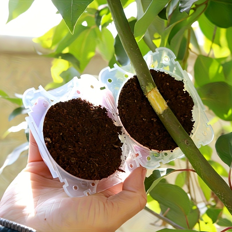 Kit de 10 Peças para Propagaçã - Gardening Tools Uses avaliação e preço