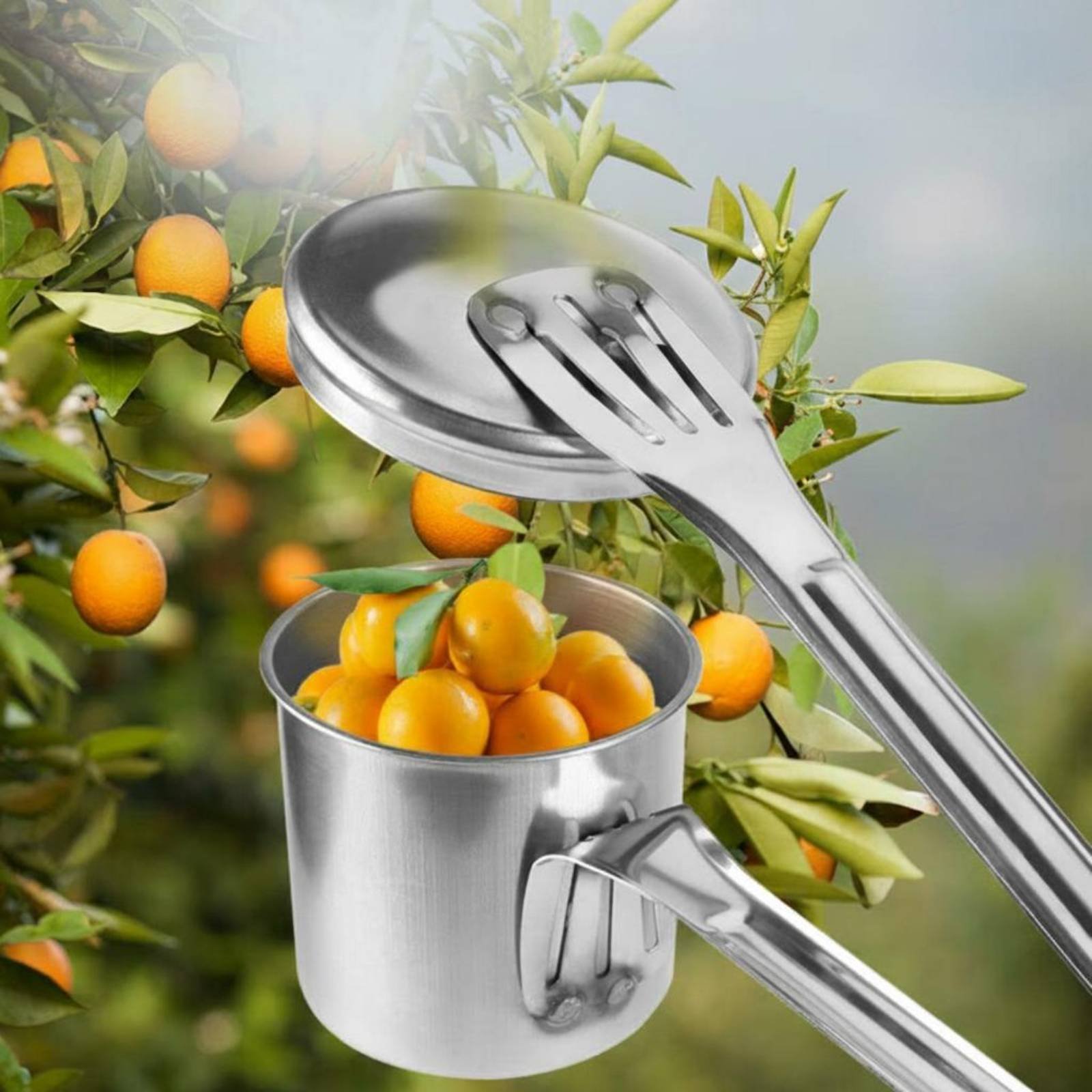 Cortador de Frutas em Aço Inox - Gardening Tools Uses avaliação e preço