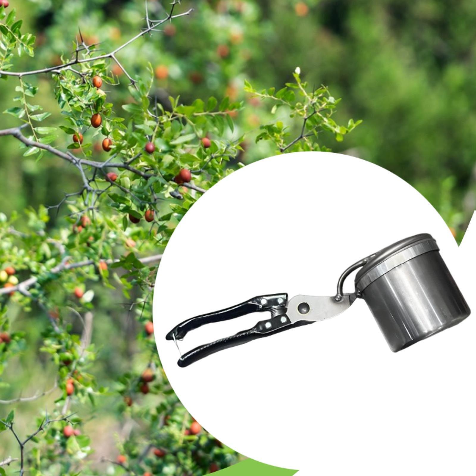 Selecionador de frutas, ferram - Gardening Tools Uses avaliação e preço