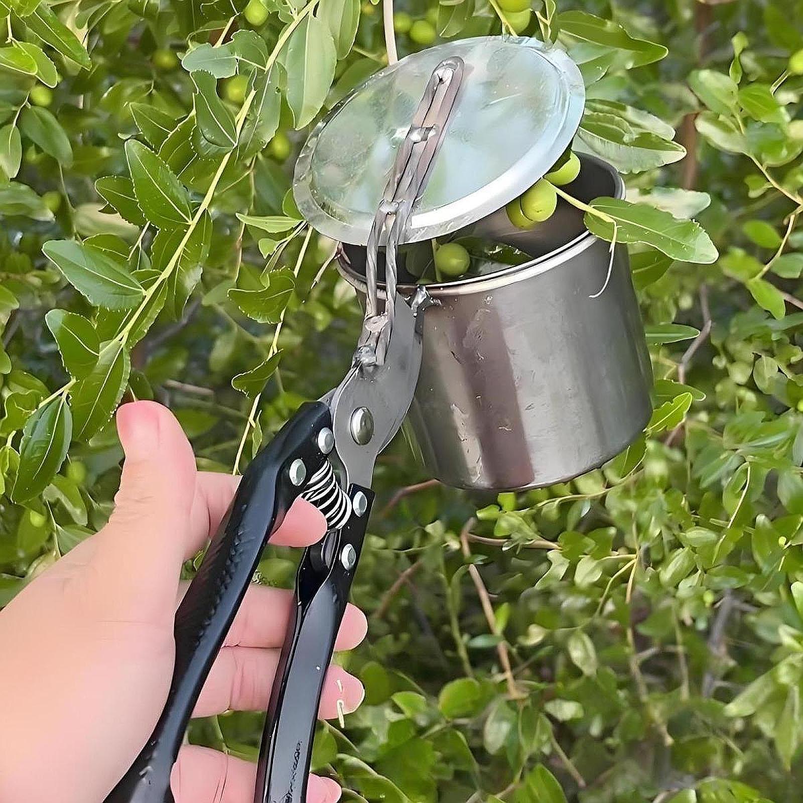 Selecionador de frutas, ferram - Gardening Tools Uses avaliação e preço
